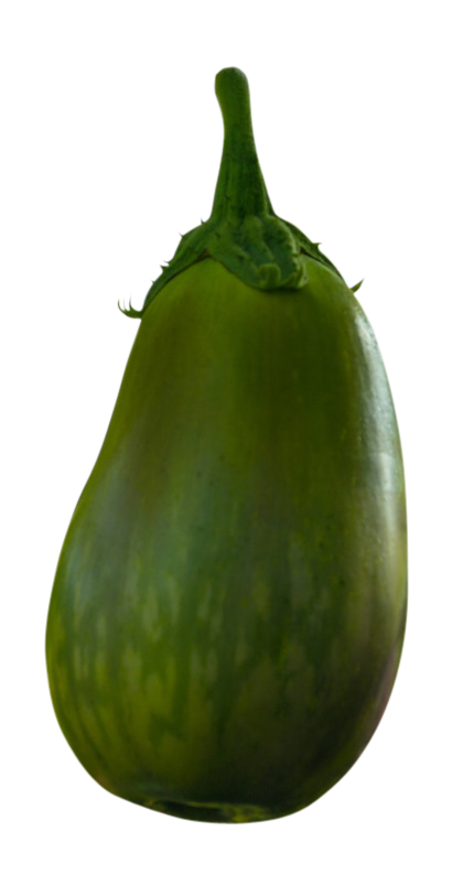 fresh green eggplant png, green eggplant png image, green eggplant transparent png image, green eggplant png full hd images download